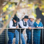 Say 'I Do' at Artemis Ranch: Crafting Unforgettable Weddings in the Heart of Texas