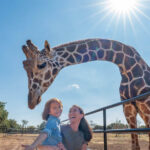 Family feeding giraffes at Artemis Ranch and Retreat Wildlife Adventure Lodge