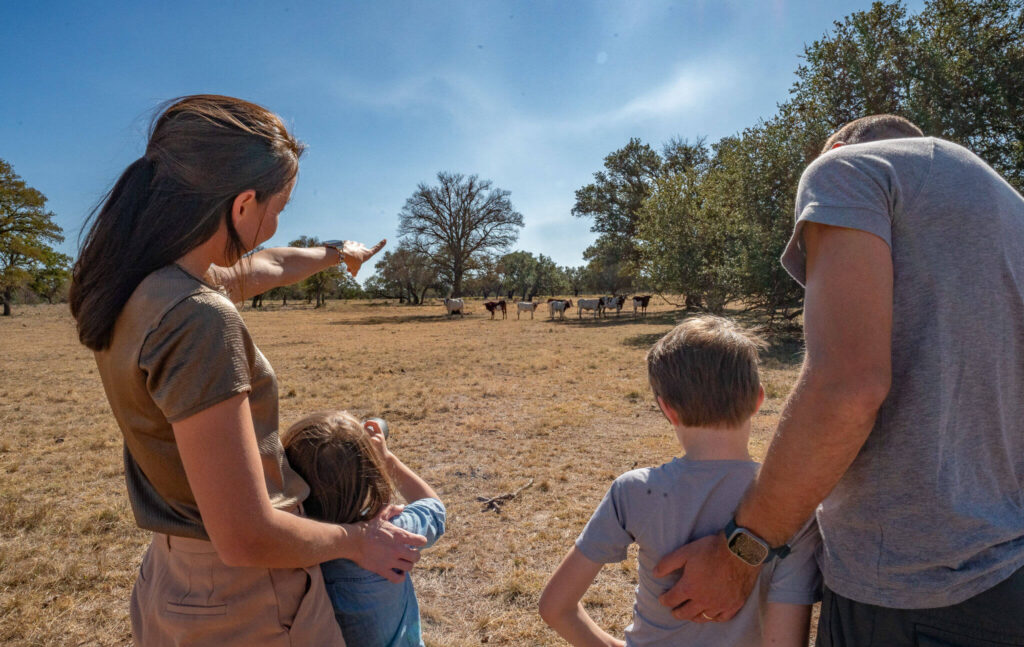 Family adventure spotting exotic animals on the ranch safari tour