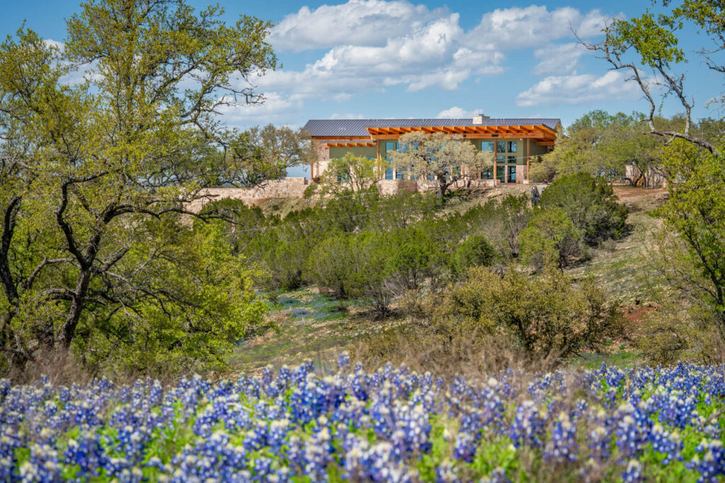 blanket of bluebonnet wildflowers frames the hill in the background