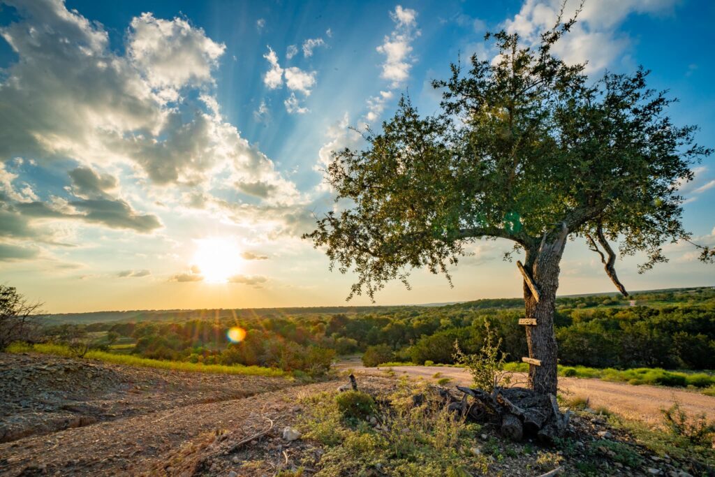 Digital Detox: Embracing Mindfulness and Reconnection at Artemis Ranch