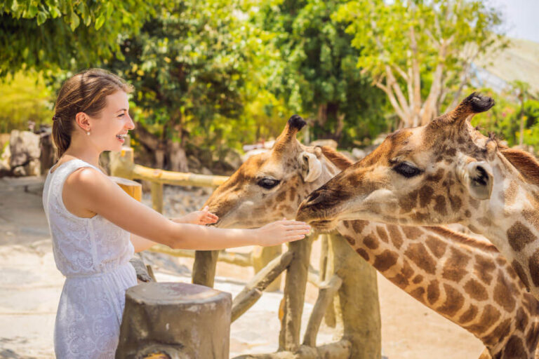 What It’s Like To Hand-Feed Giraffes During A Texas Ranch Stay