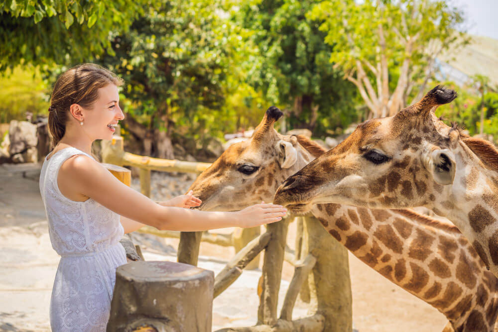 What It’s Like To Hand-Feed Giraffes During A Texas Ranch Stay
