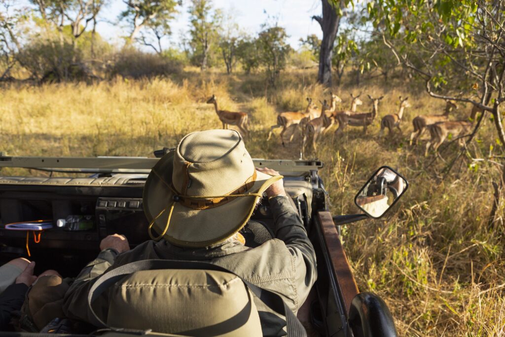 Pair Your Giraffe Feeding Experience With Other Ranch Adventures