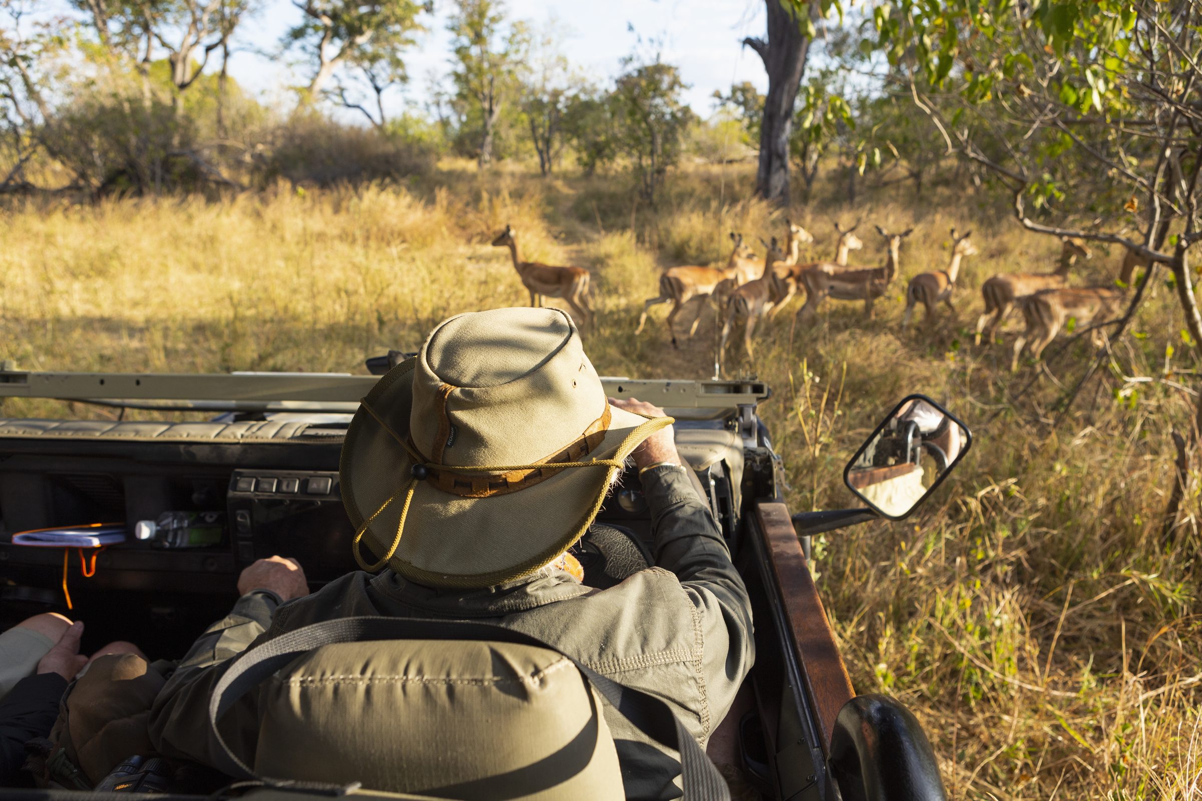 Pair Your Giraffe Feeding Experience With Other Ranch Adventures