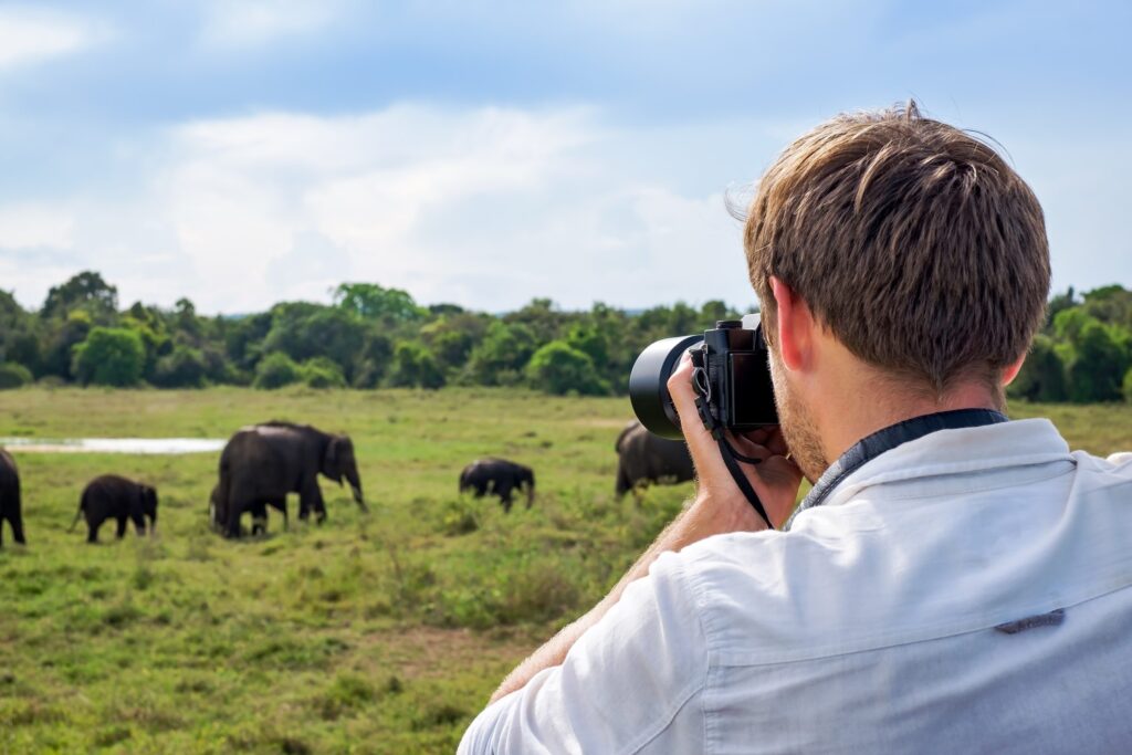 What Makes Wildlife Photography at Artemis Ranch Special