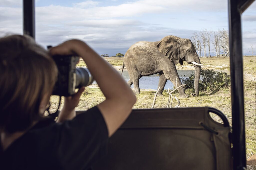 What Makes Wildlife Photography at Artemis Ranch Special 2