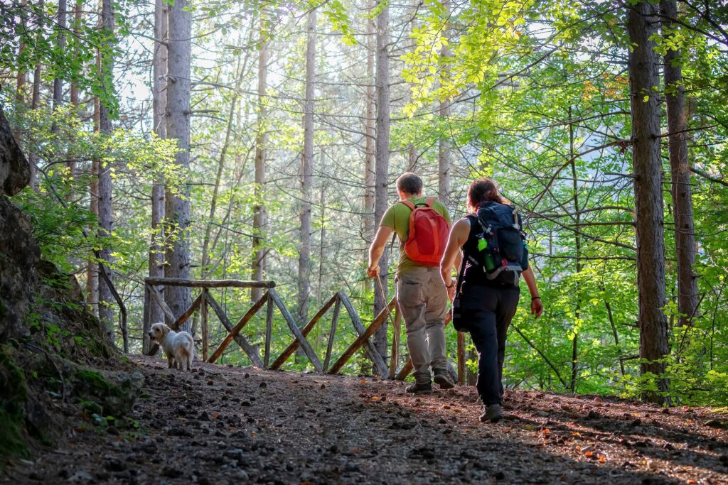 What to Expect During Your Hiking Experience..